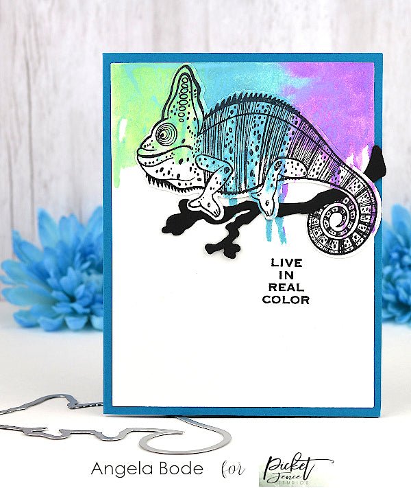 2020 In Real Color - Picket Fence Studios