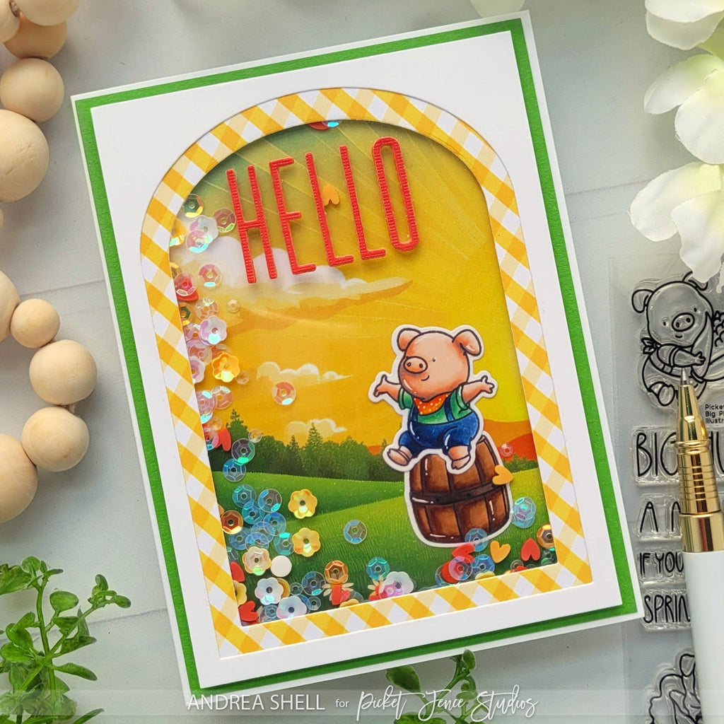 Sunny Shaker Card