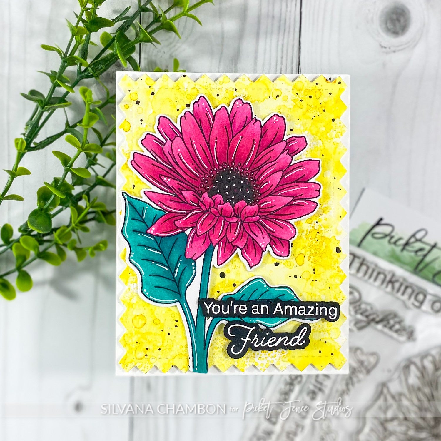 Pink gerbera for an amazing friend