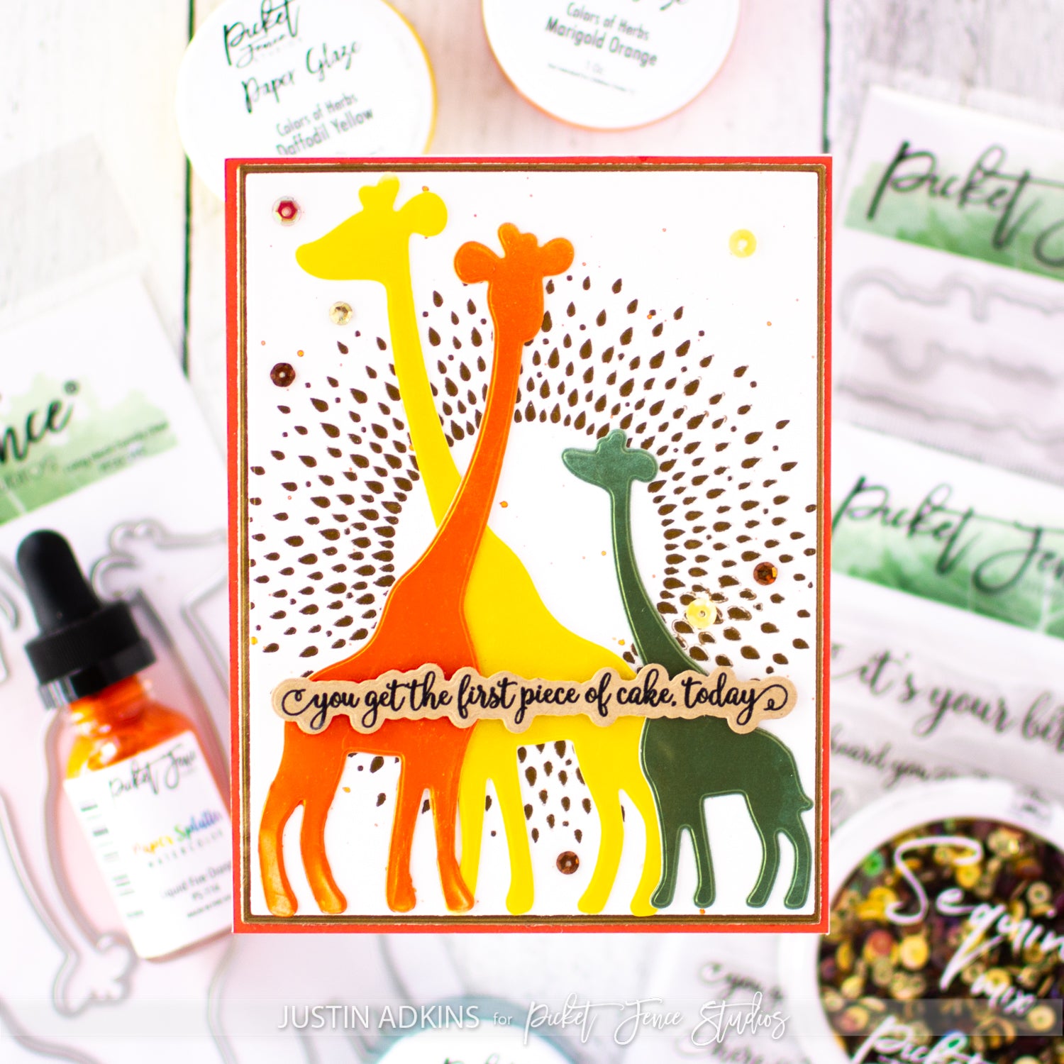 Giraffes Get the First Piece of Cake