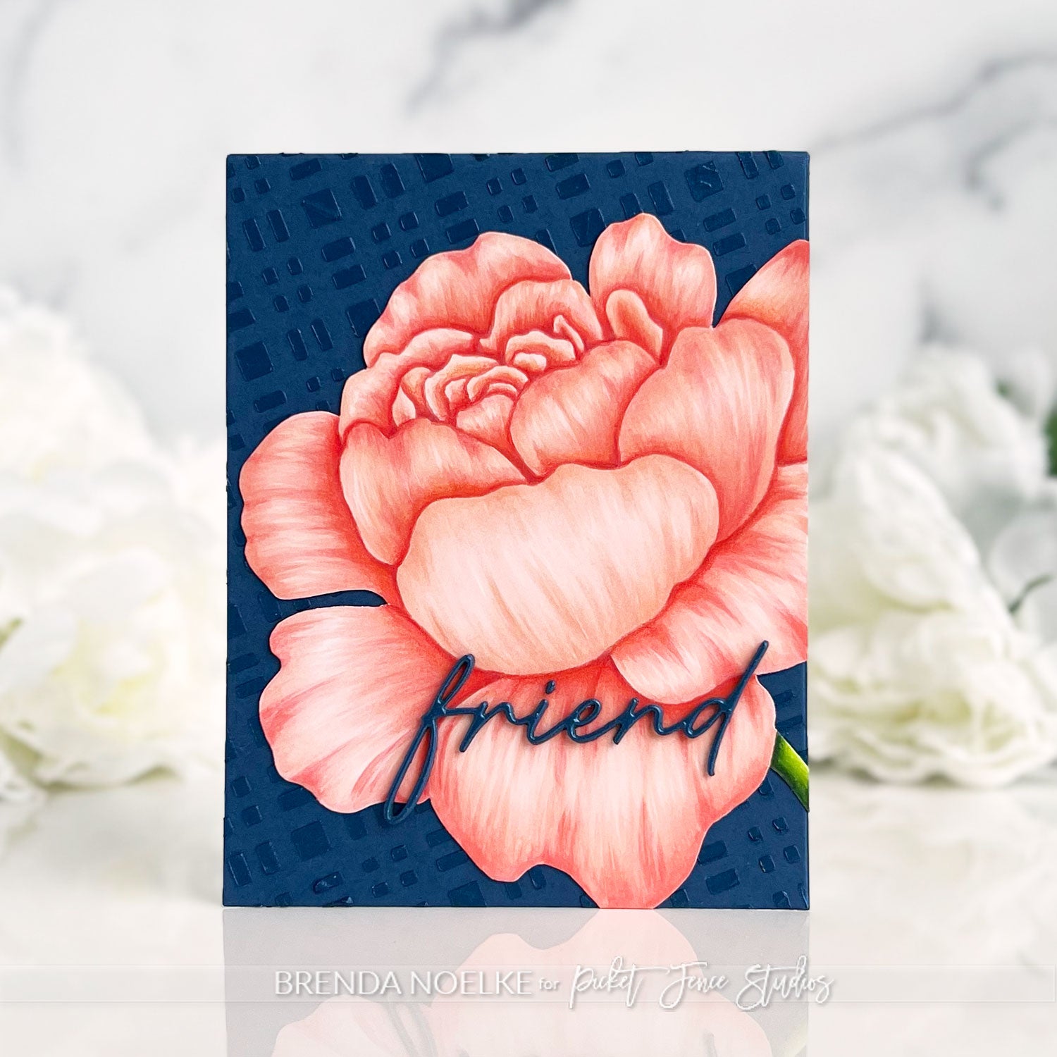 Friend - A Peony of Contrast