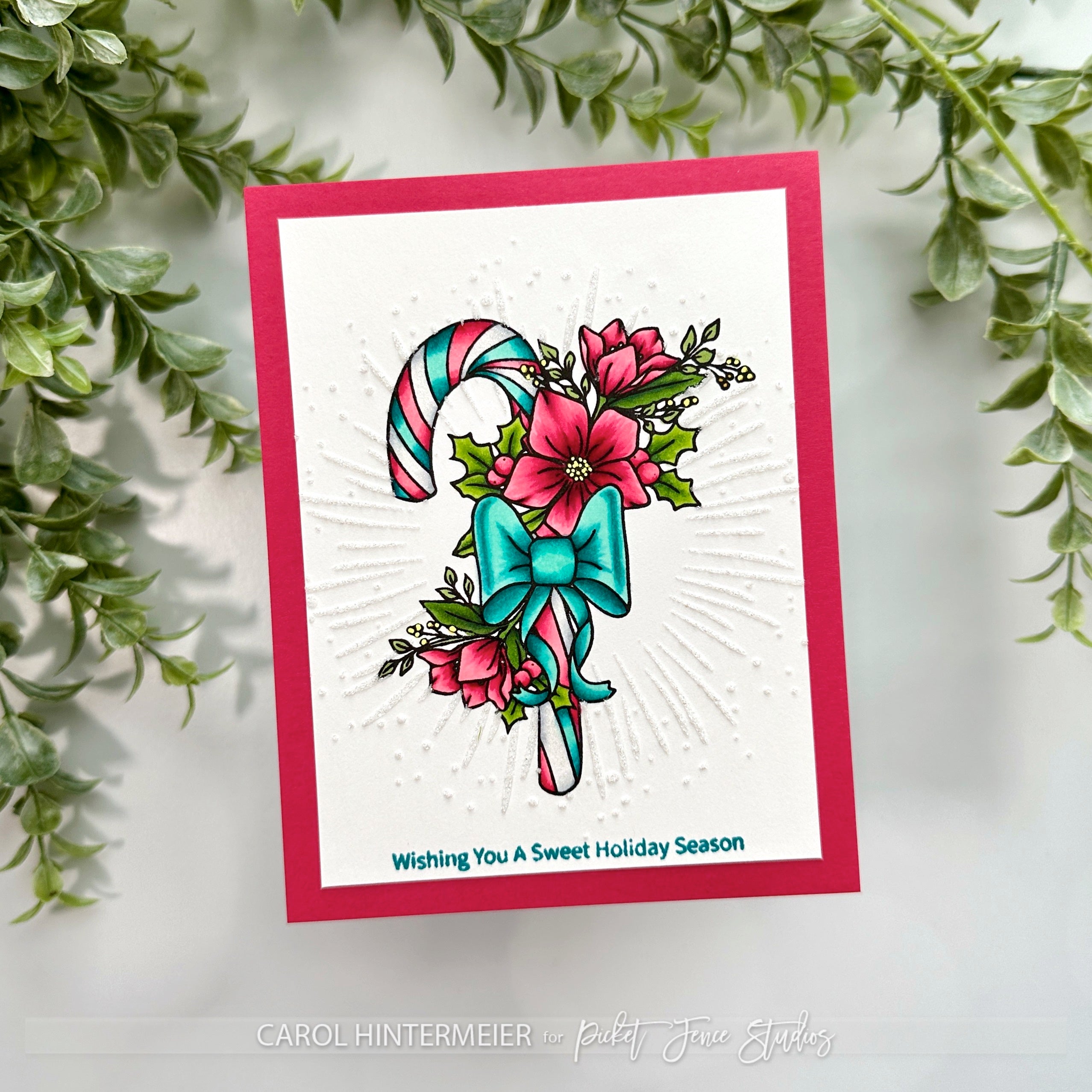 Festive Greetings with Carol: A Trio of Christmas Delights