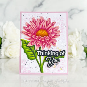 Thinking of You - Brighter Days Gerbera Daisy