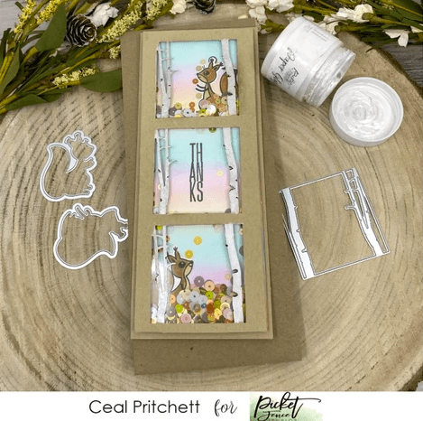 A Little Nuts with Ceal Pritchett - Picket Fence Studios