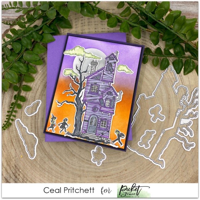 A Spooky Day With Ceal - Picket Fence Studios