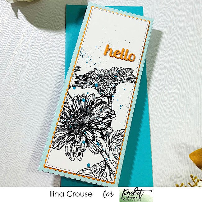 Daisy Hello - Picket Fence Studios