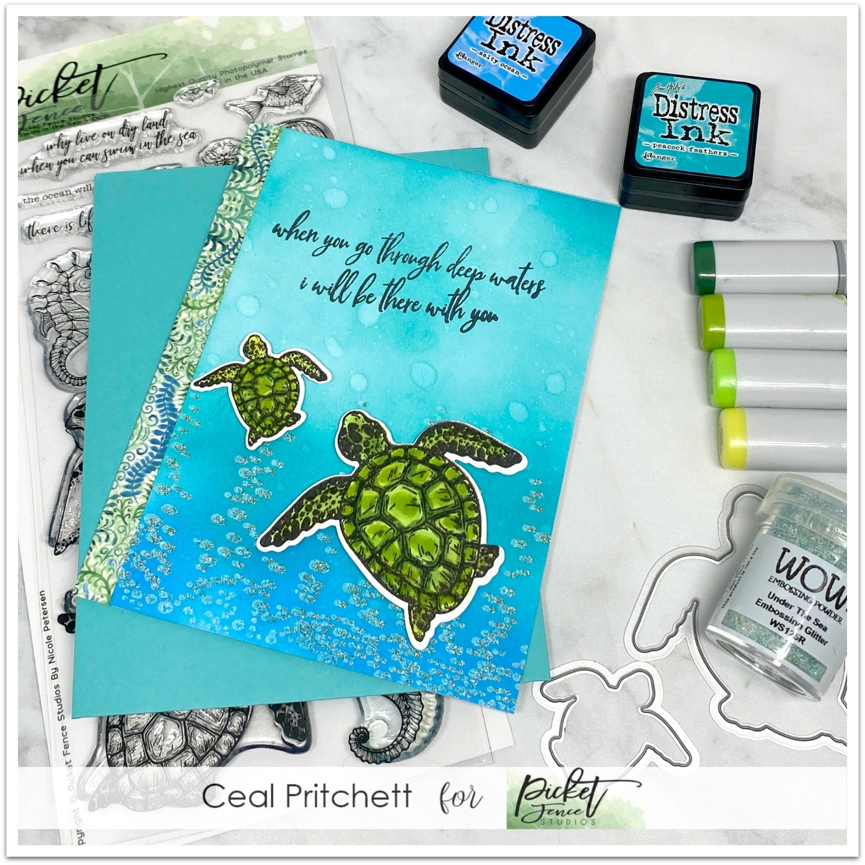 Deep Waters with Ceal - Picket Fence Studios