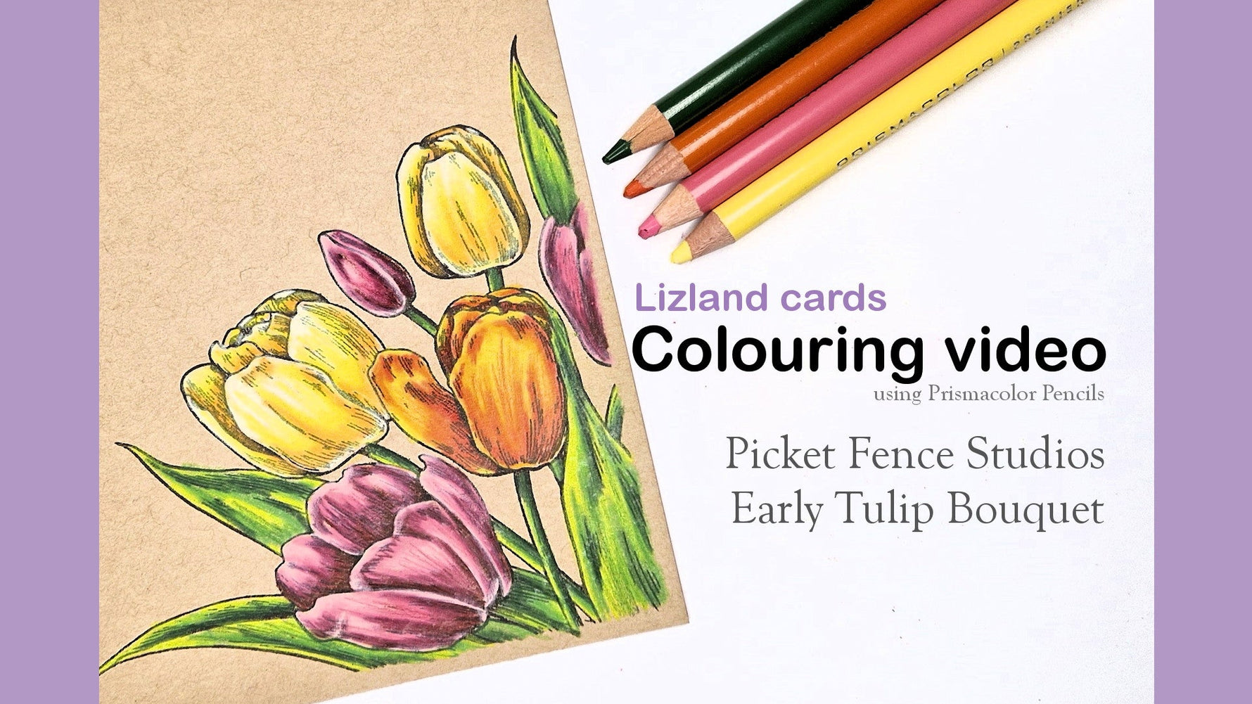 Early Tulip Bouquet pencil colouring - Picket Fence Studios