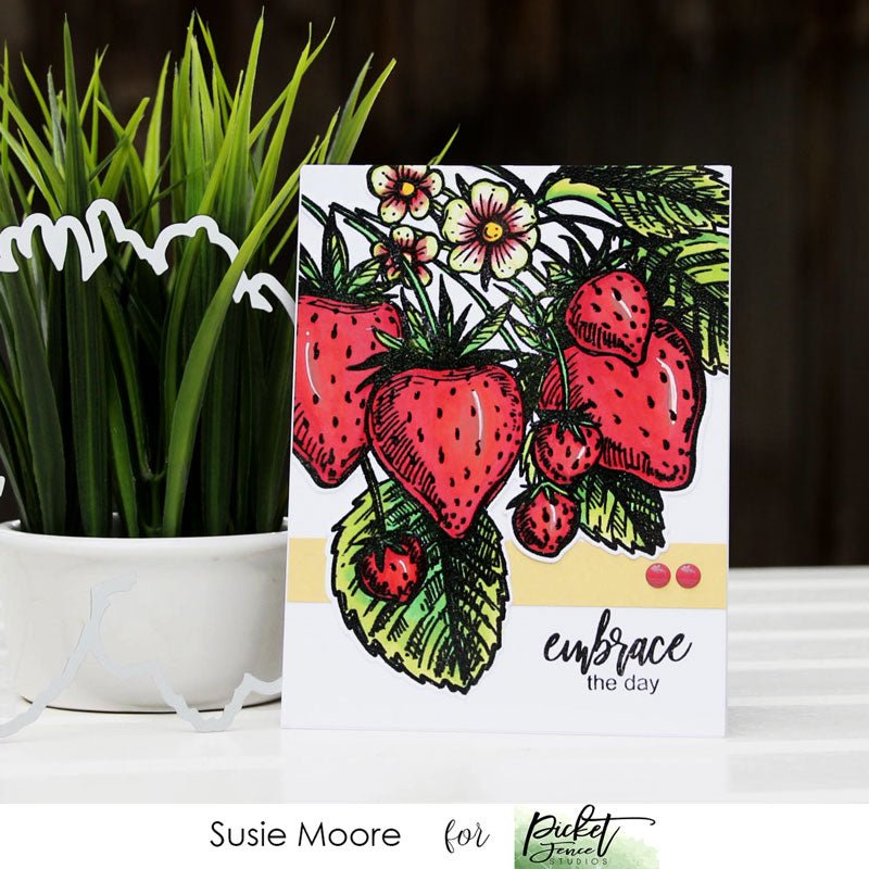 Embrace the Day with Susie Moore - Picket Fence Studios