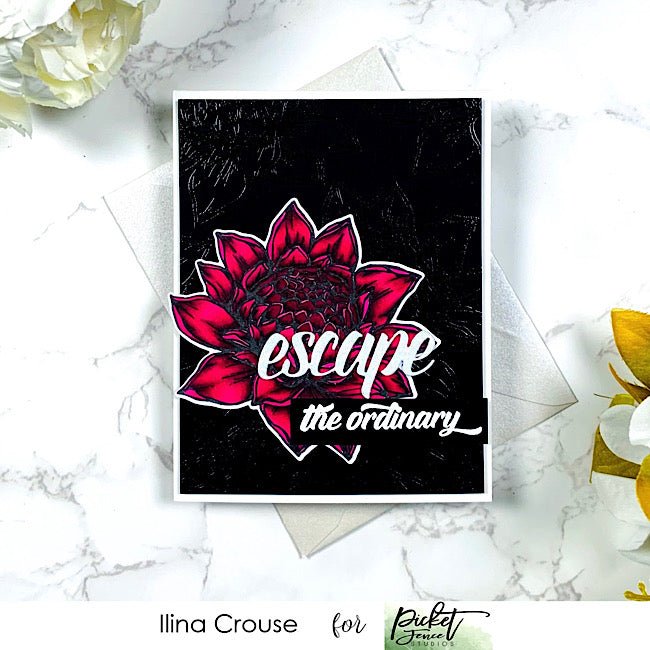 Escape the Ordinary - Picket Fence Studios