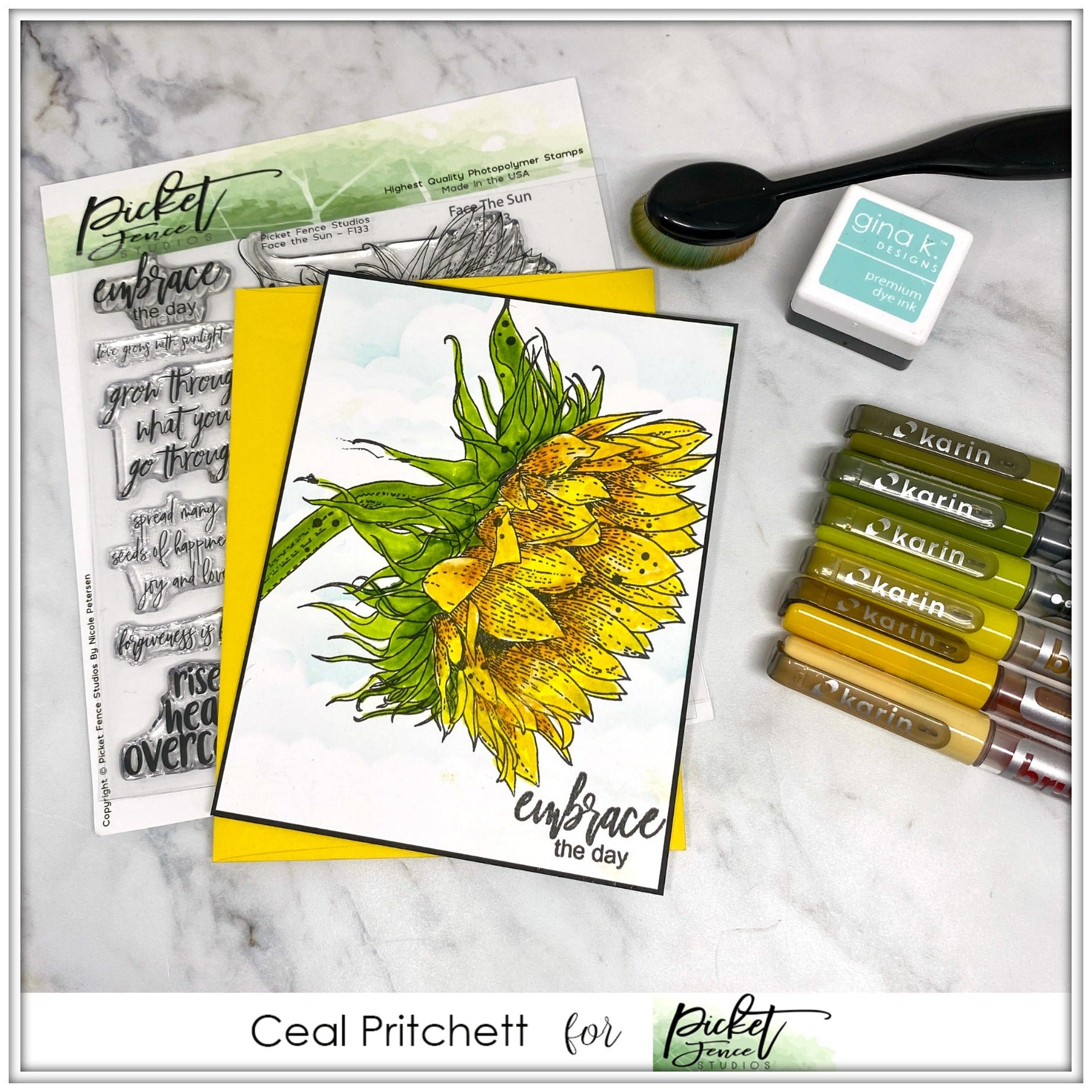 Face The Sun with Ceal Pritchett - Picket Fence Studios