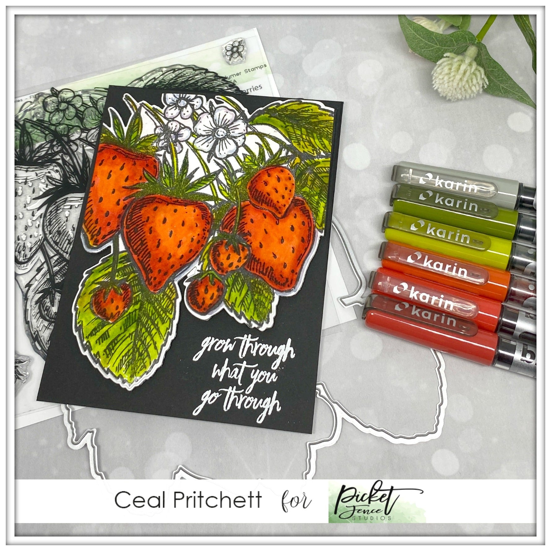Grow Through What You Go Through with Ceal Pritchett - Picket Fence Studios
