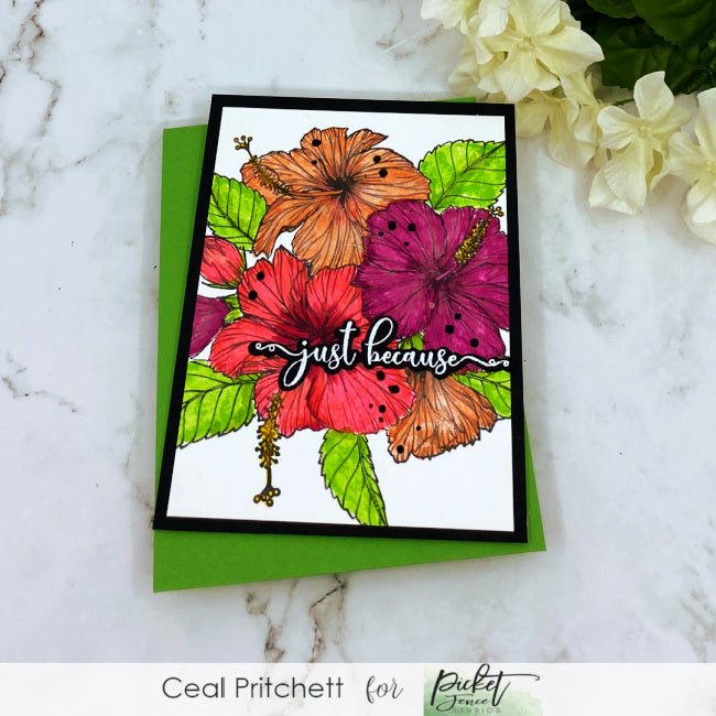 Just Because - Picket Fence Studios