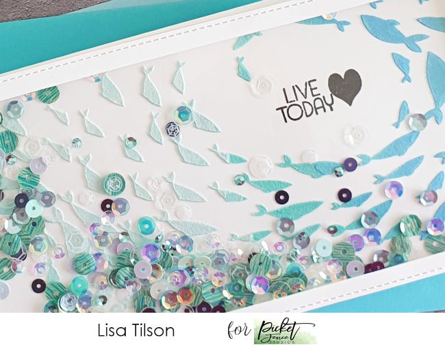 Live Today - Picket Fence Studios