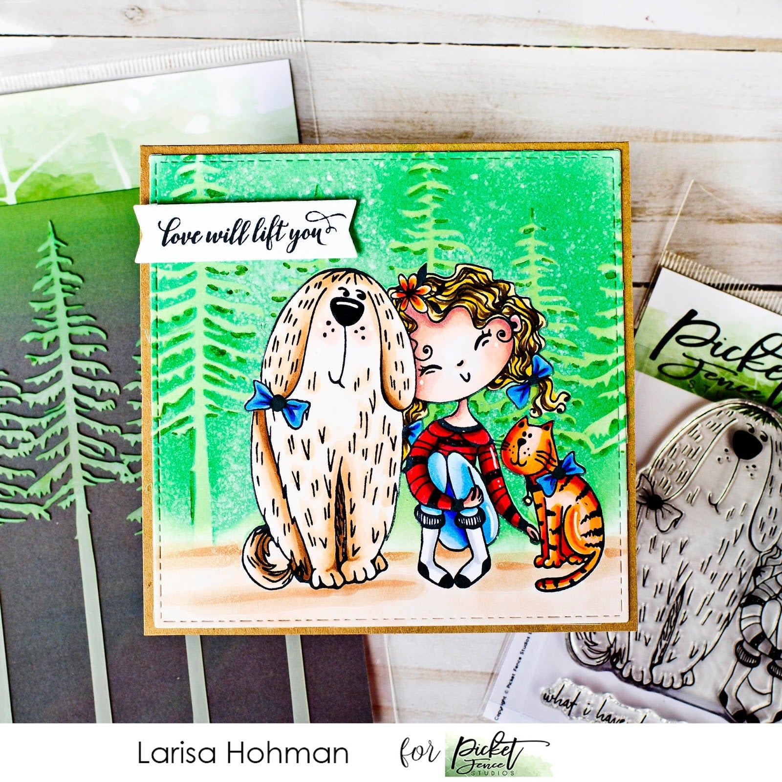 New Release Projects with Larisa - Picket Fence Studios