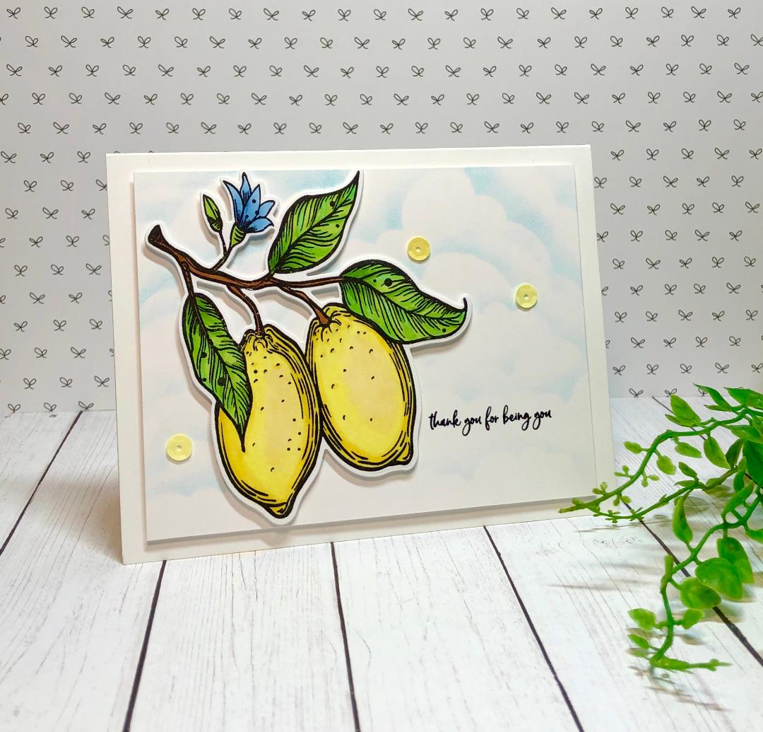 Special Celebrations/Let's Pucker Up with Judy Rozema! - Picket Fence Studios