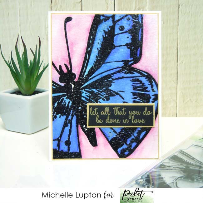 Swallowtail beauty with Michelle Lupton