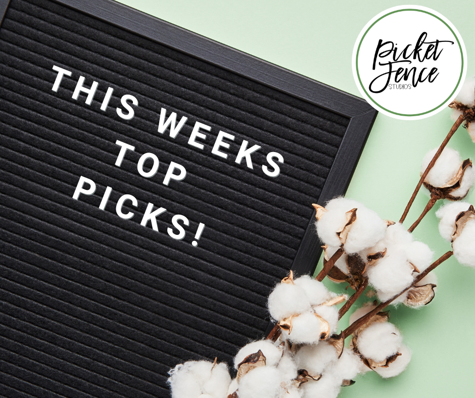 The Best of Picket Fence Studios: This Week's Top Picks