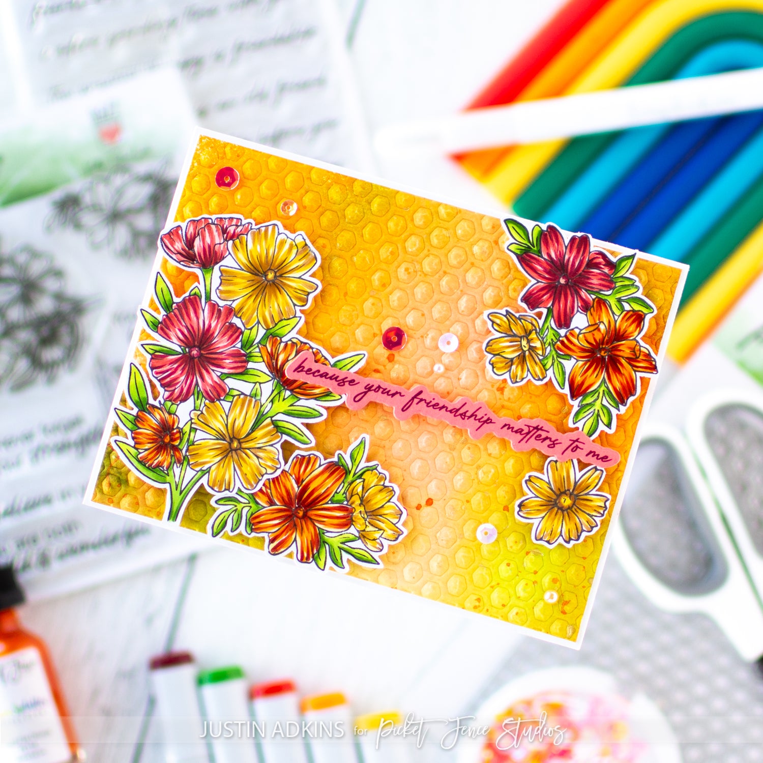 Wild and Wonderful Cosmos (Kelly Taylor)