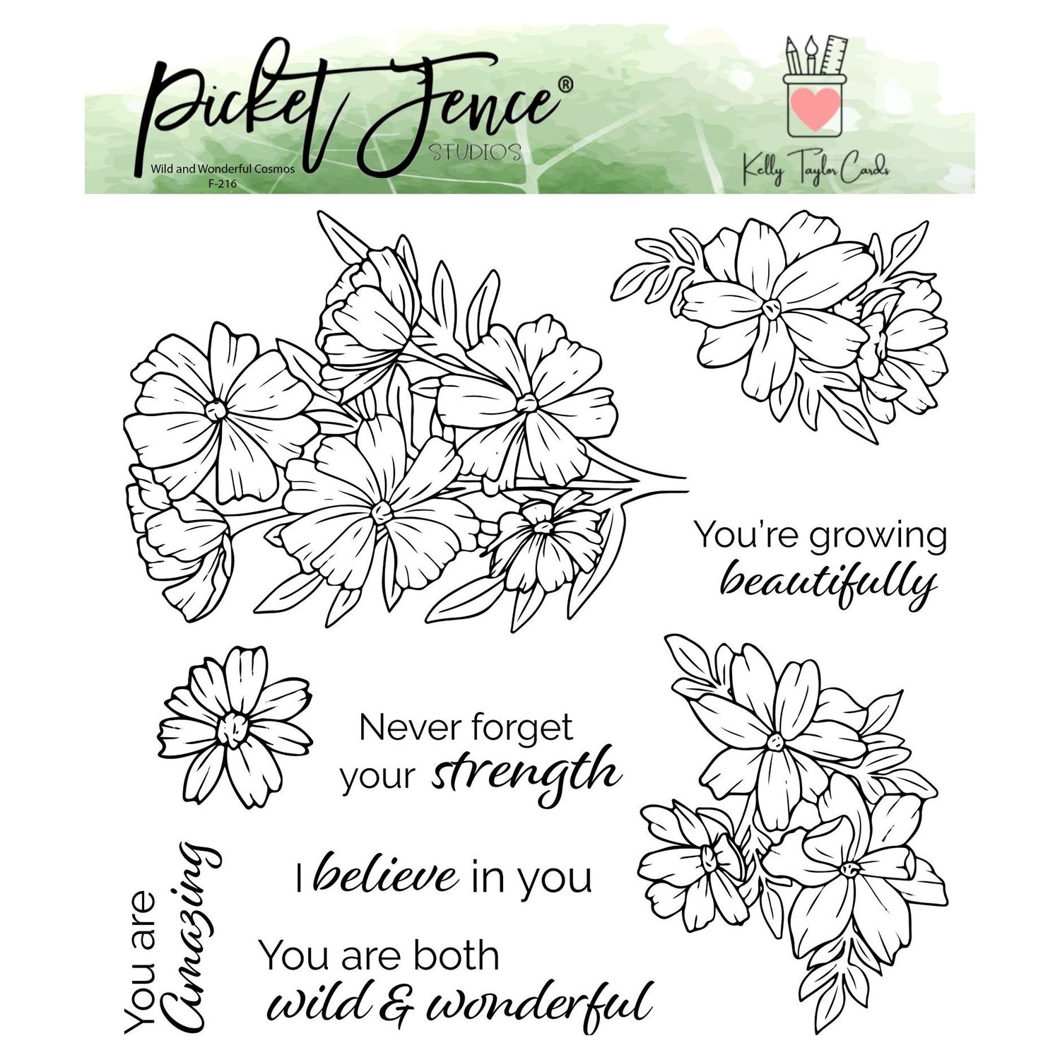 Wild and Wonderful Cosmos (Kelly Taylor)