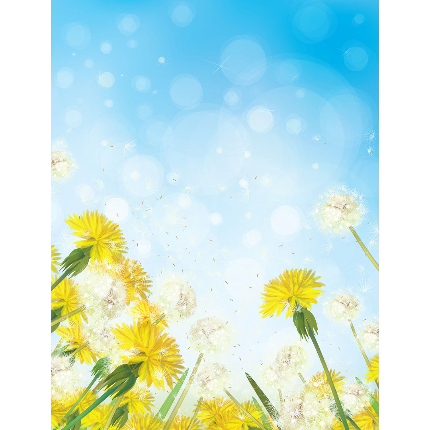 Fabulously Glossy A2 Card Fronts - Dandelion Dreams