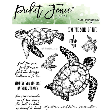 A Sea Turtle's Journey