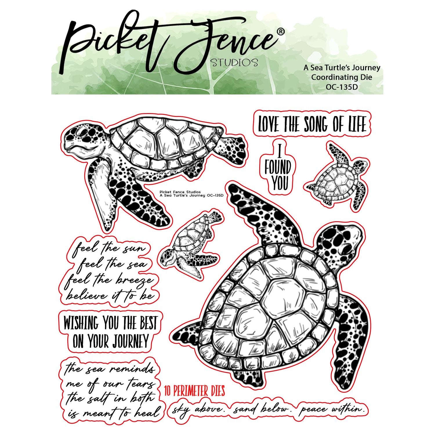 A Sea Turtle's Journey Lite Special Bundle Offer