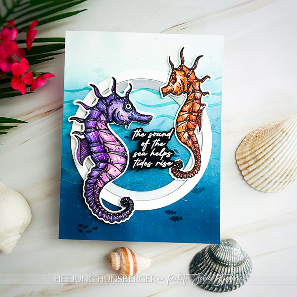 Seahorses of the Sea