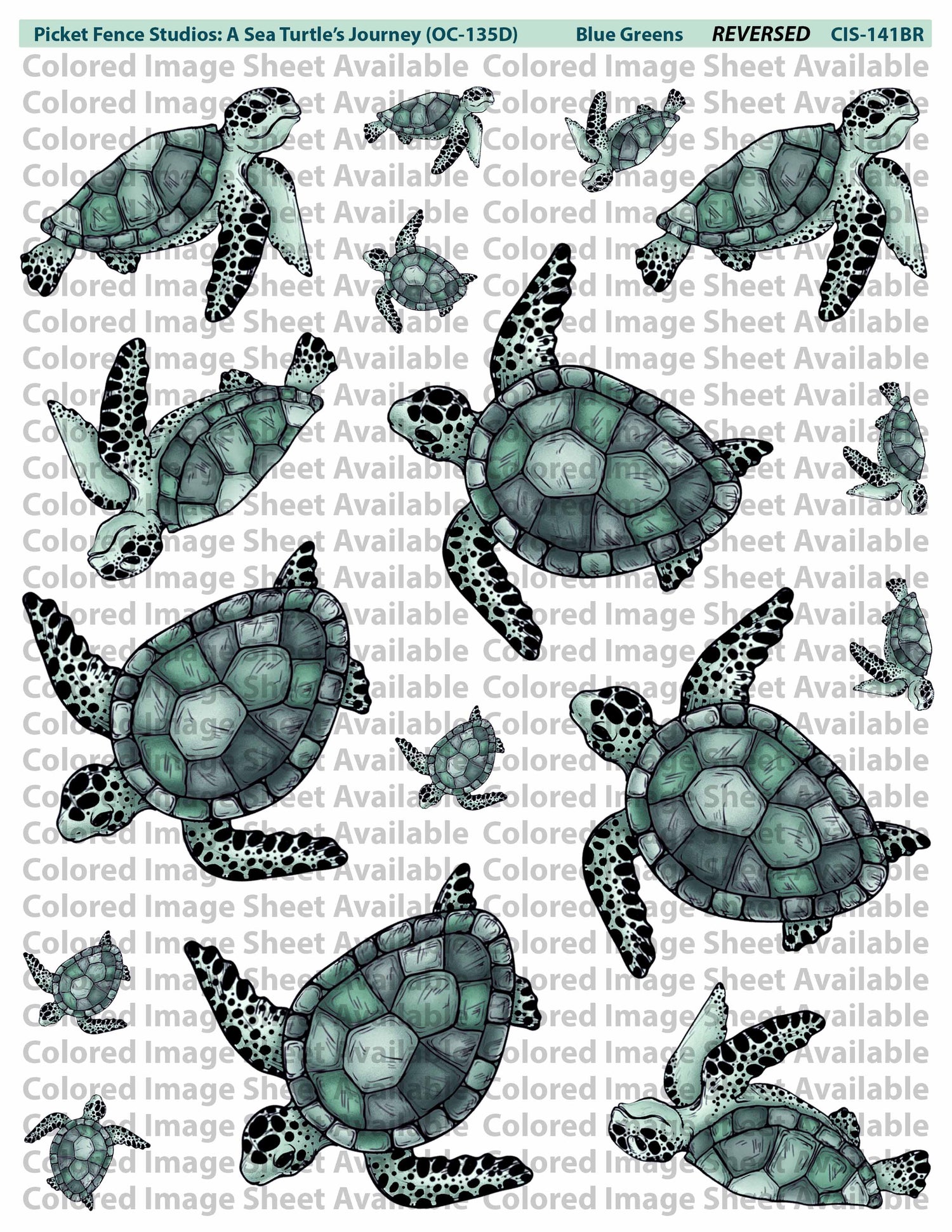 Colored Image Sheet: A Sea Turtle’s Journey (Original Orientation-Blue/Greens)