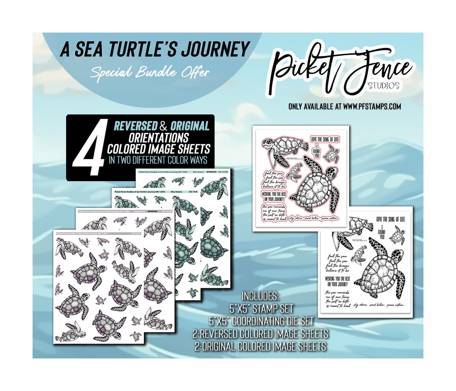 A Sea Turtle's Journey Full Special Bundle Offer