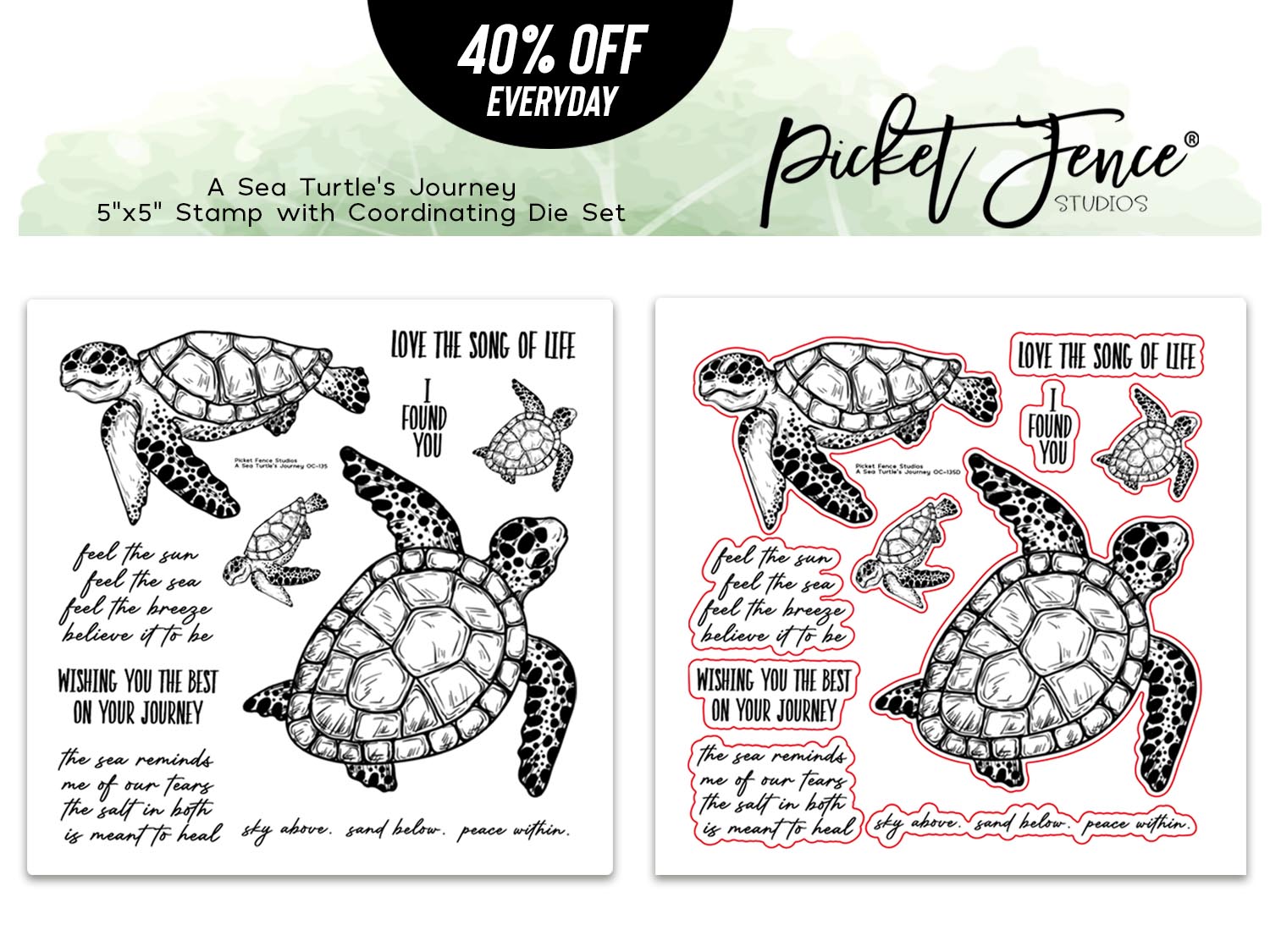 A Sea Turtle's Journey with Coordinating Die