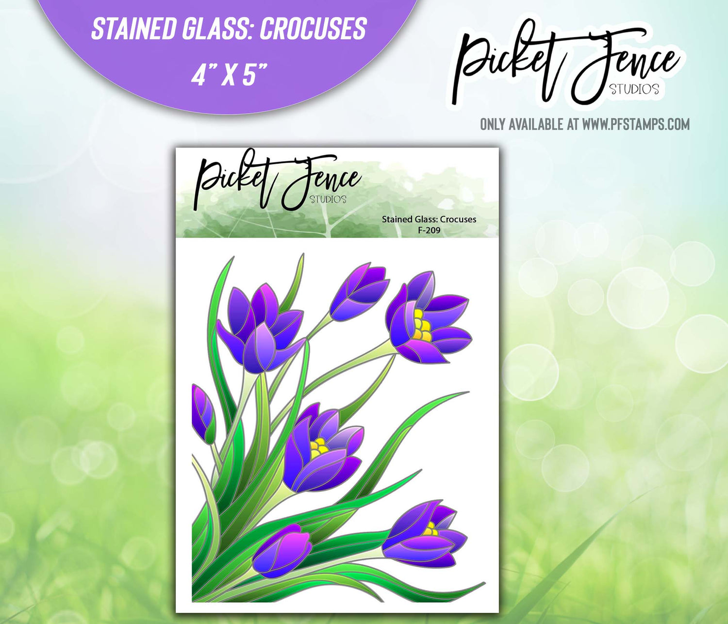 Stained Glass: Crocuses