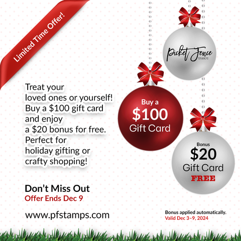 $100 Gift Certificate with $20 Free Additional Gift Certificate