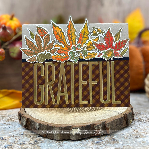 Fabulously Glossy Card Stock - Fun Fall Gingham