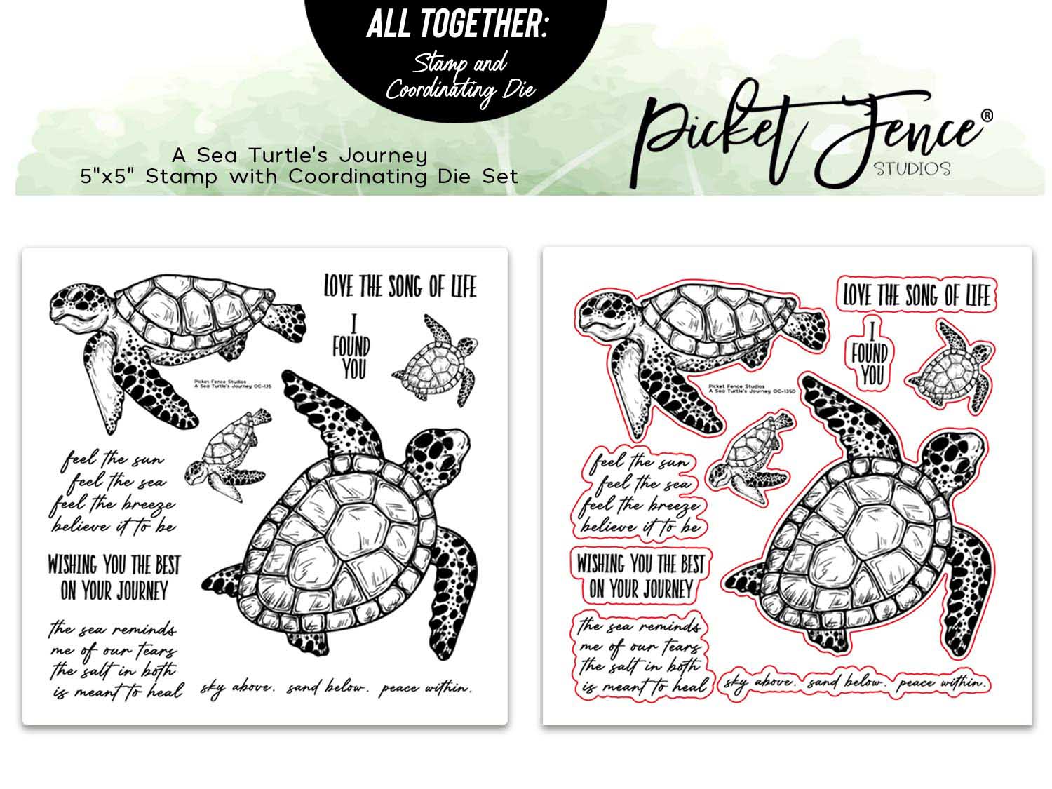 A Sea Turtle's Journey with Coordinating Die Set