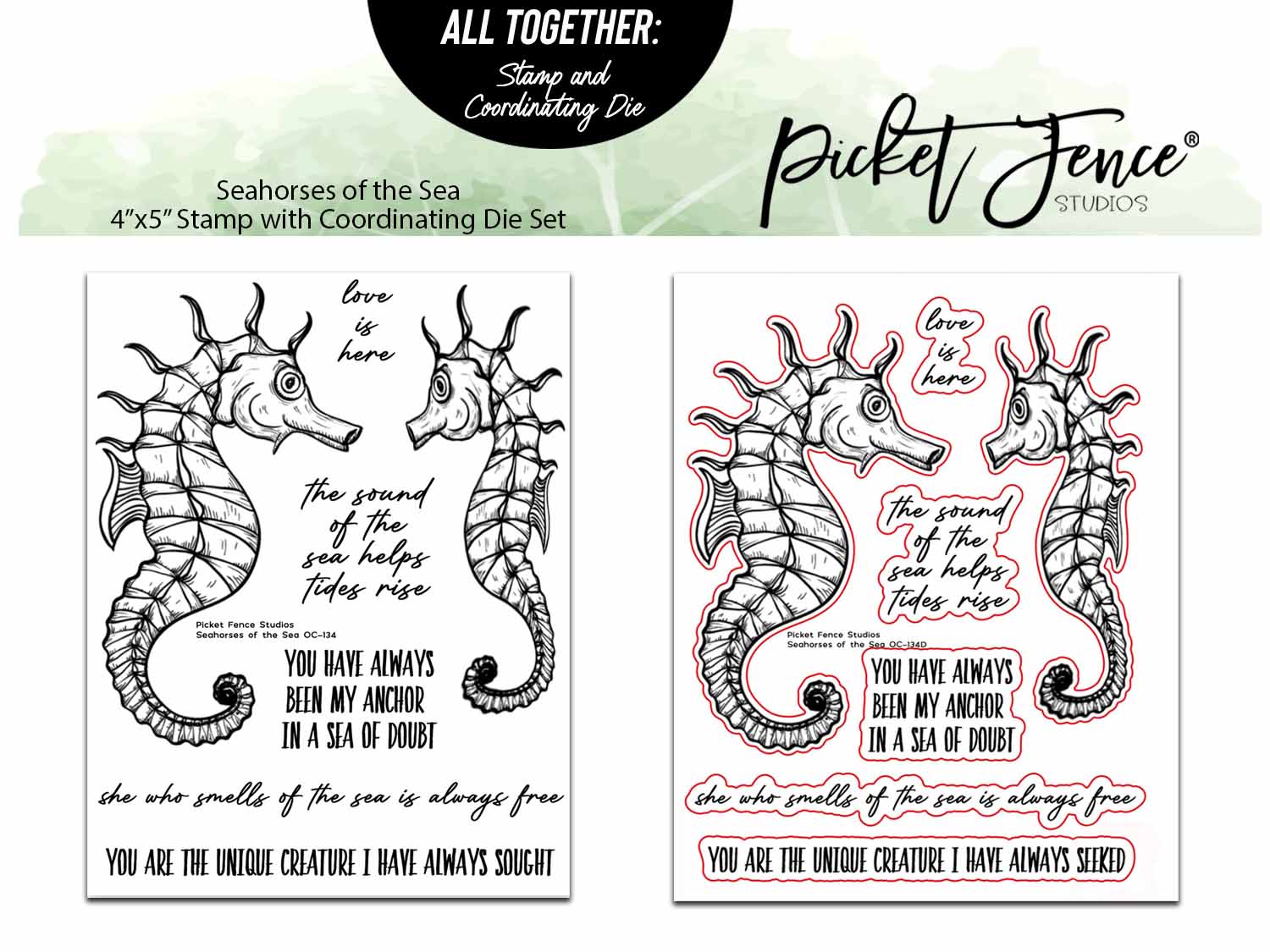 Seahorses of the Sea with Coordinating Die Set