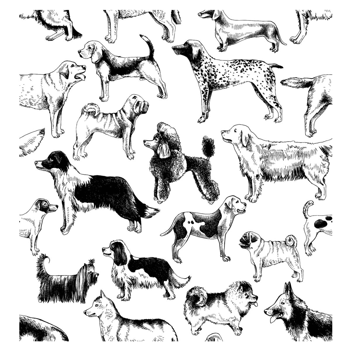 This Dog is for You