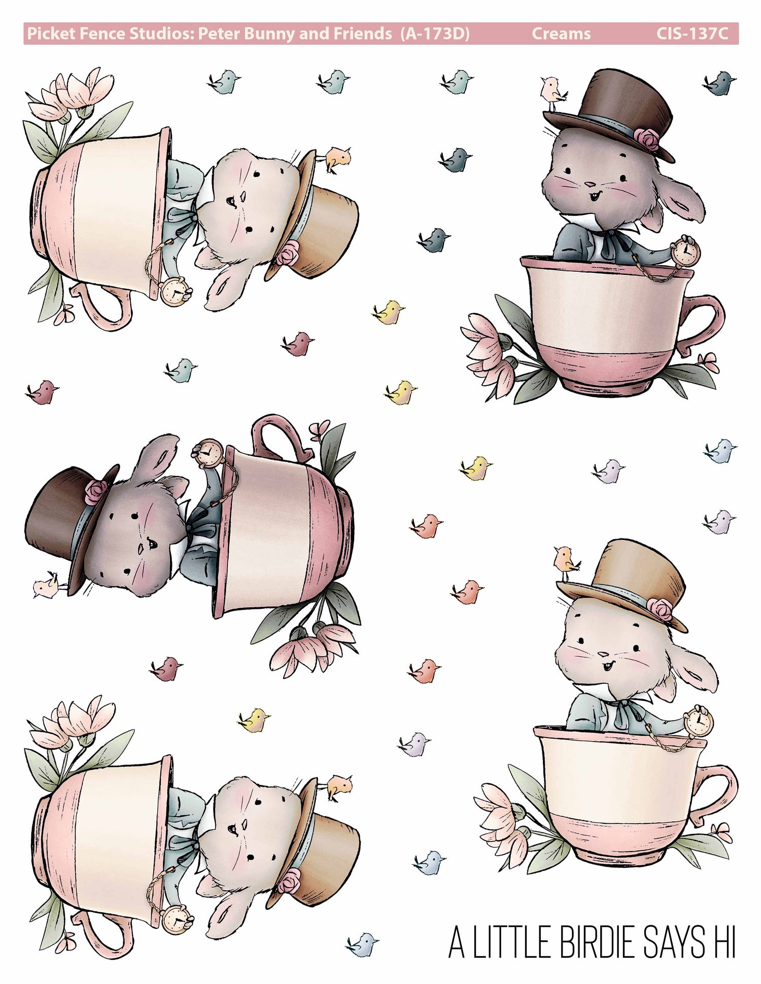 Peter Bunny and Friends: Colored Image Sheets (All Three Color Ways)