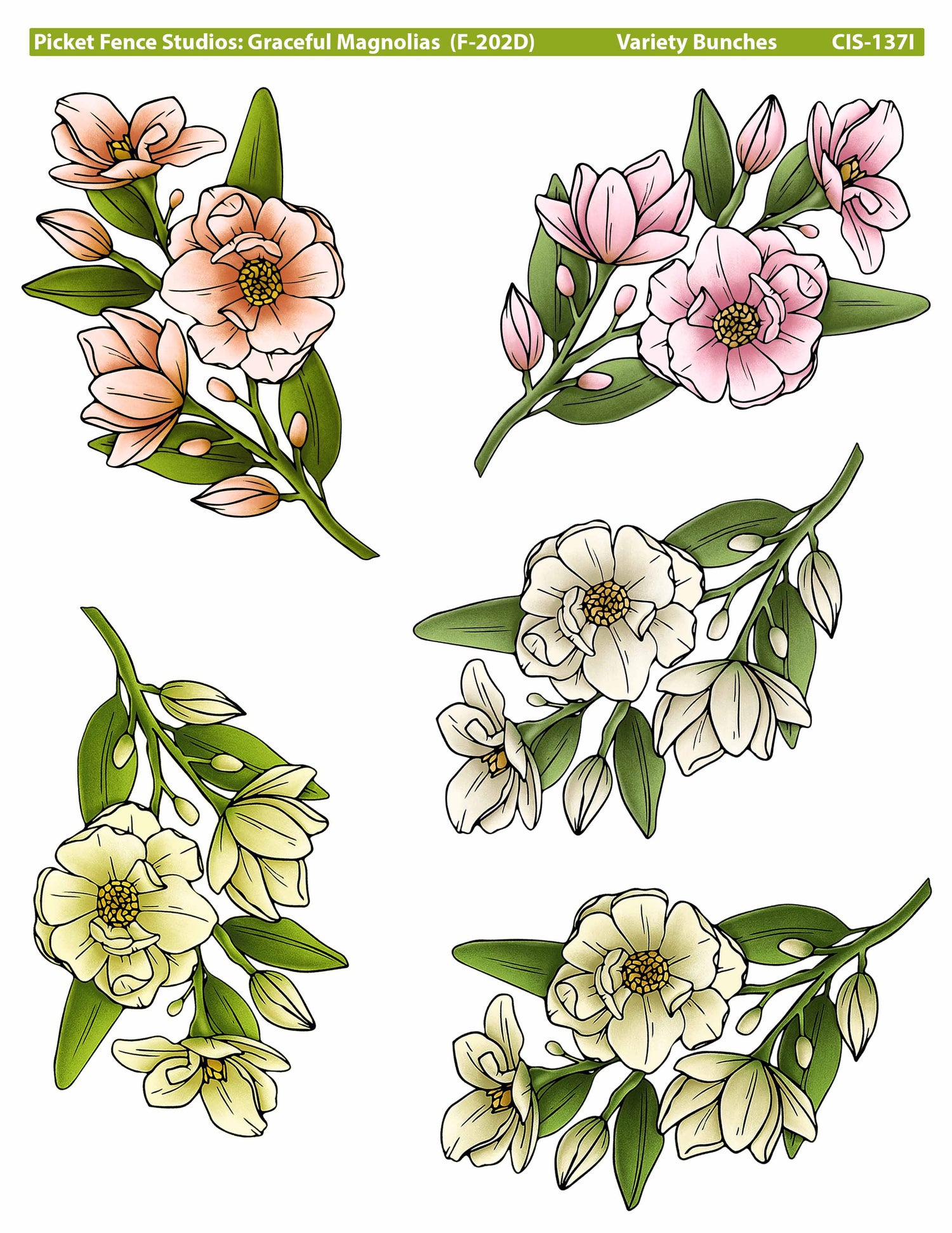 Graceful Magnolias Colored Image Sheet I: Variety Bunches