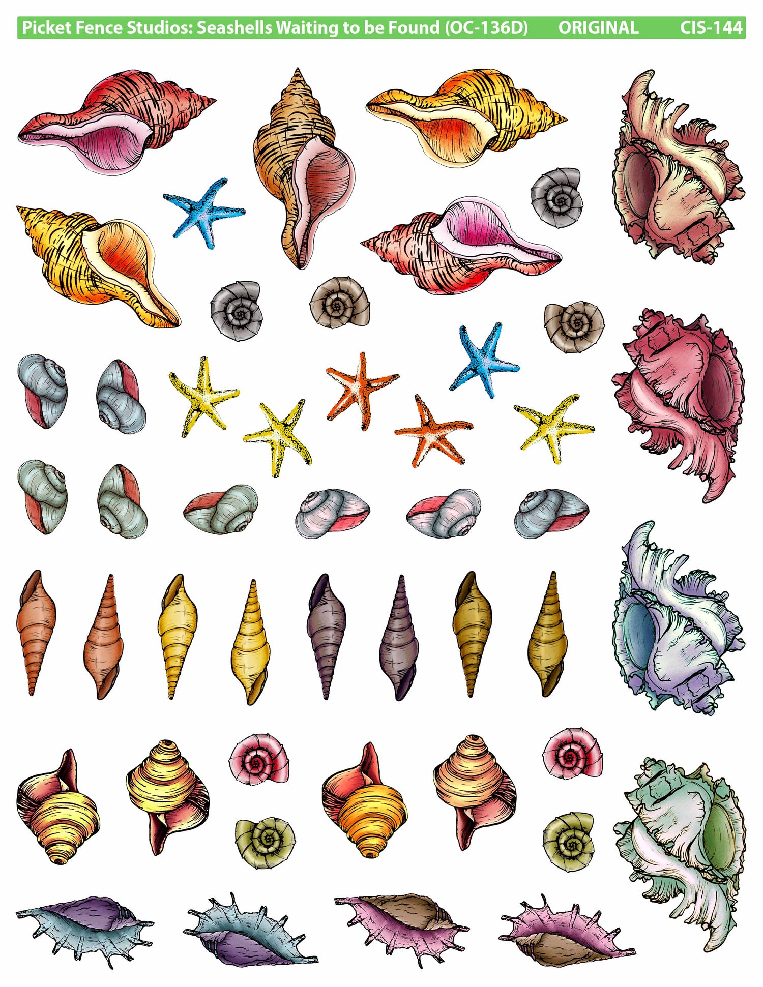 Colored Image Sheet: Seashells Waiting to be Found (Original Orientation)