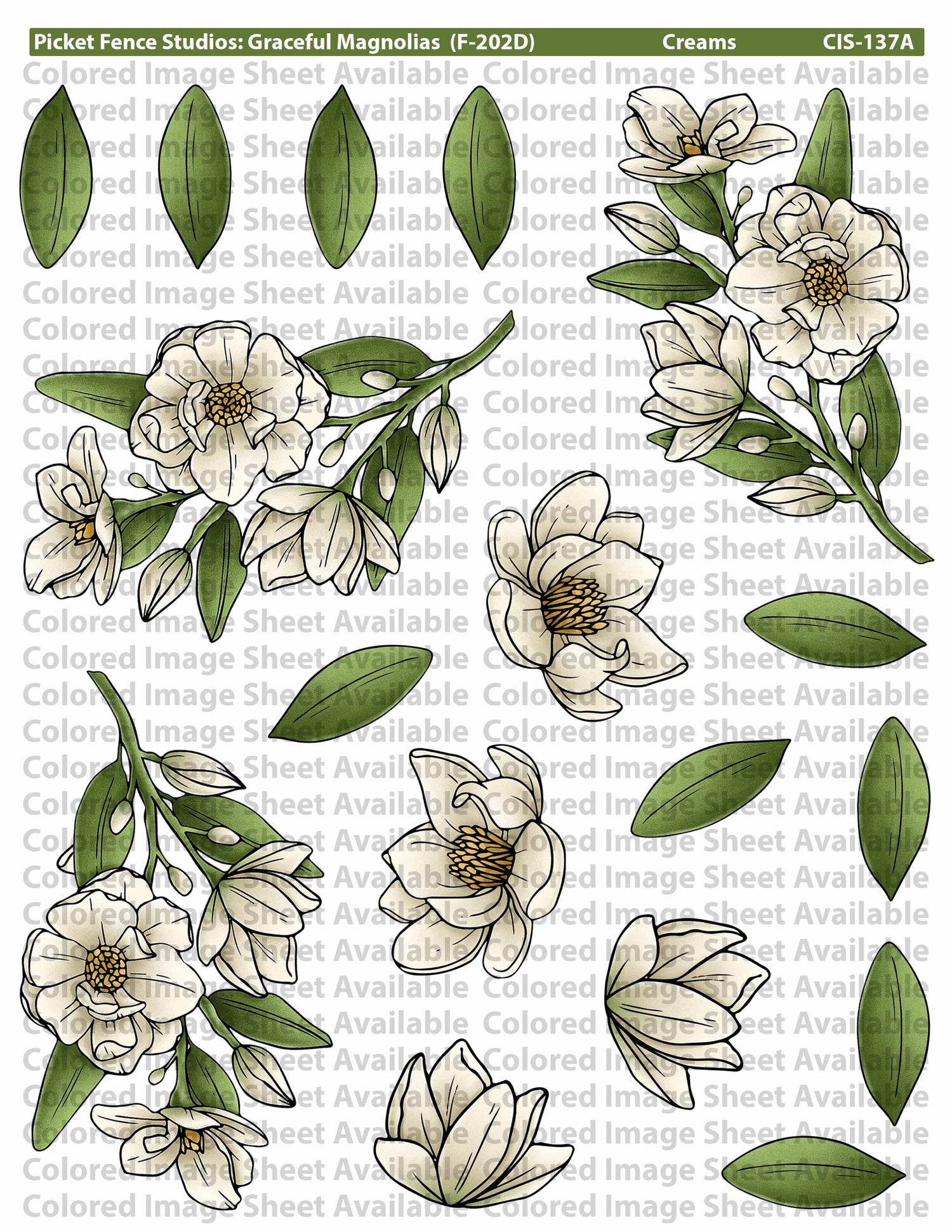 Graceful Magnolias with Coordinating Die Set (Kelly Taylor)