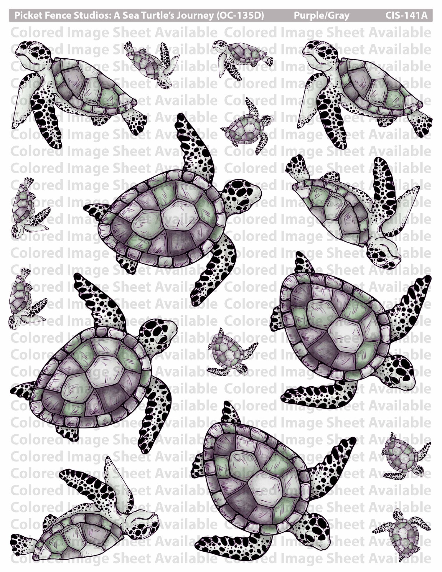 A Sea Turtle's Journey with Coordinating Die Set