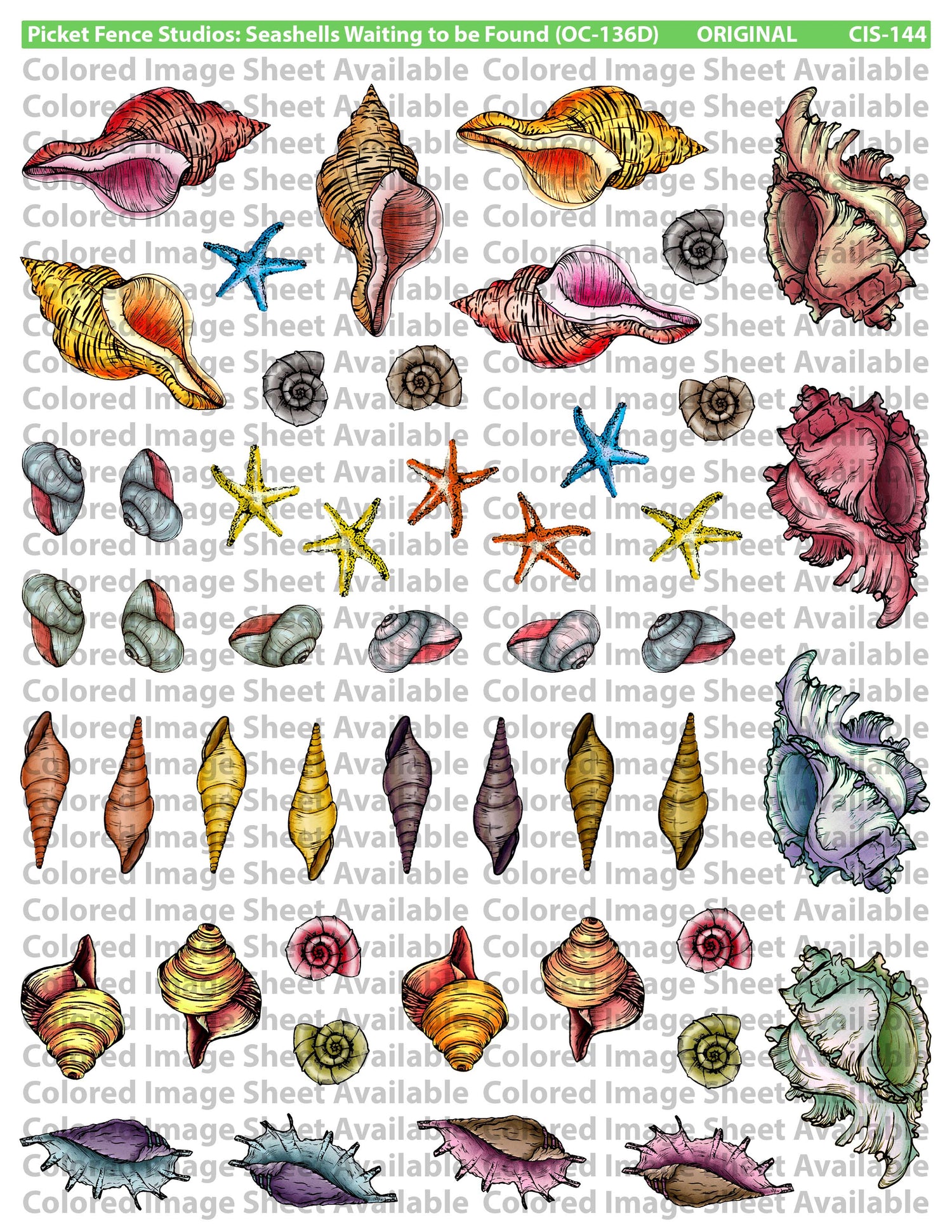 Colored Image Sheet: Seashells Waiting to be Found (Reversed Orientation)