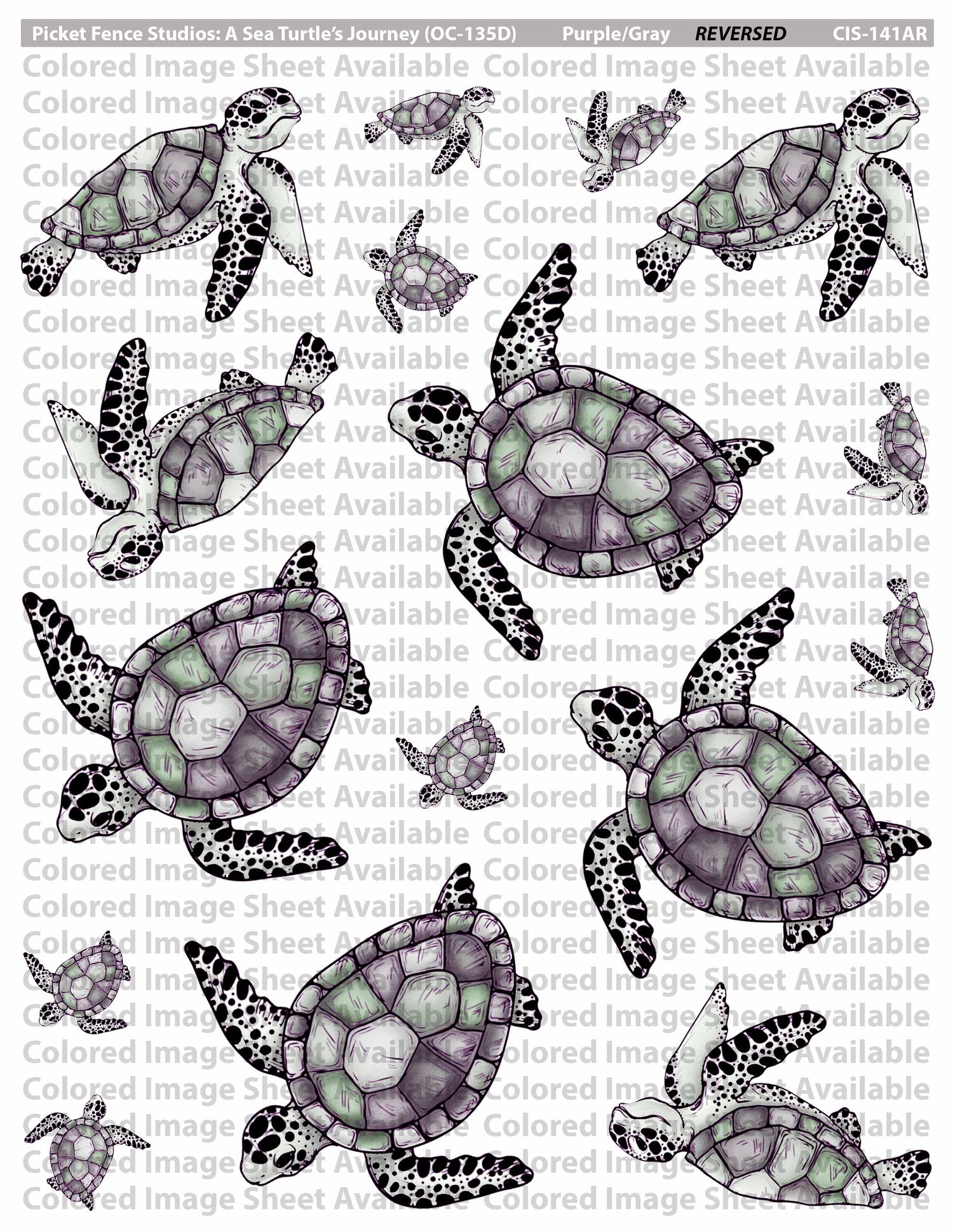 Colored Image Sheet: A Sea Turtle’s Journey (Original Orientation-Grays/Purples)