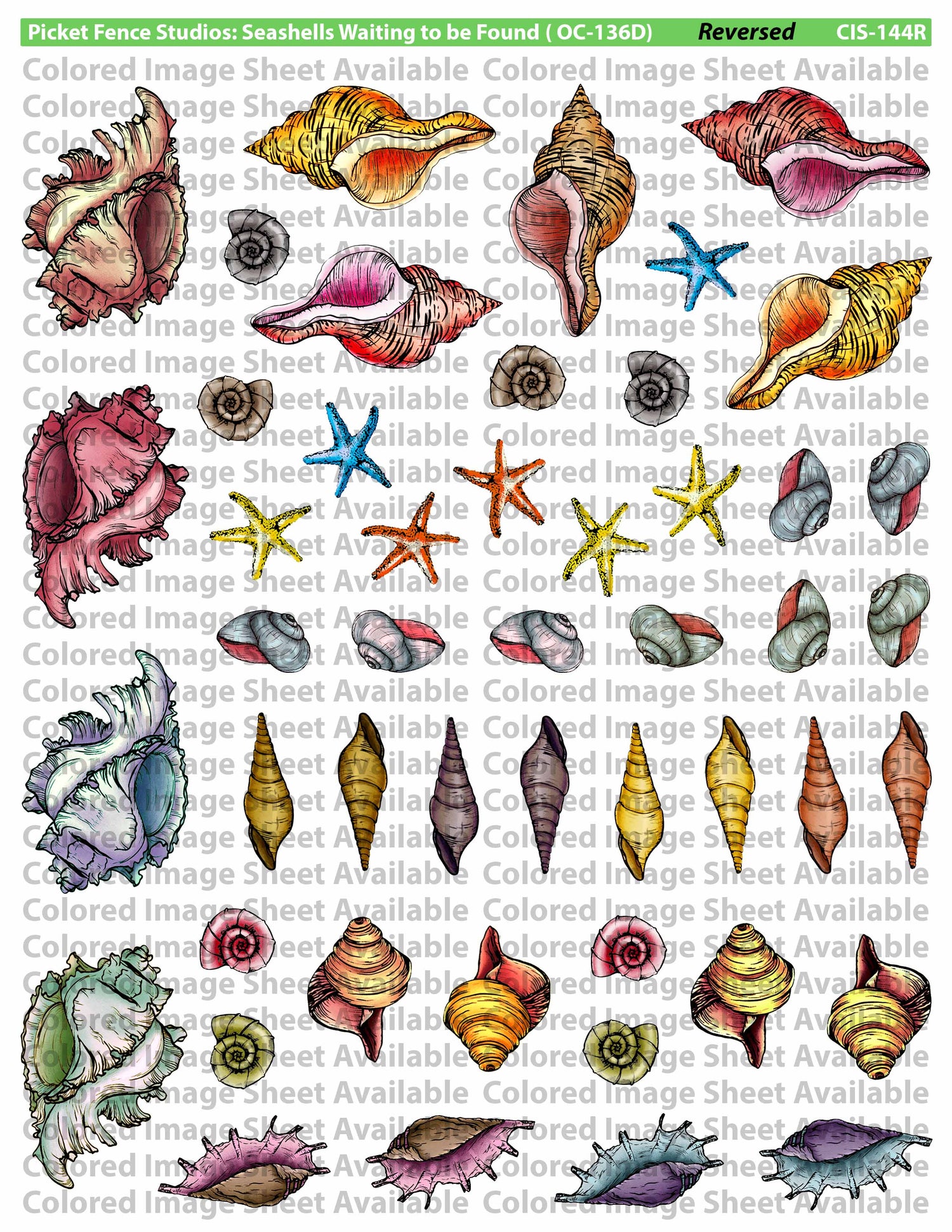 Colored Image Sheet: Seashells Waiting to be Found (Original Orientation)