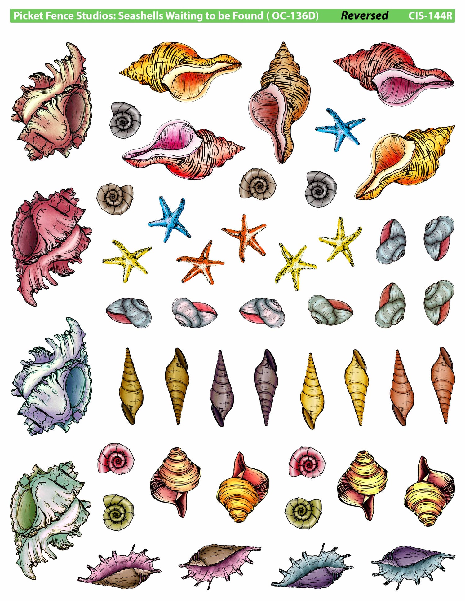 Colored Image Sheet: Seashells Waiting to be Found (Reversed Orientation)