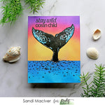 A Whale Breaching - Picket Fence Studios