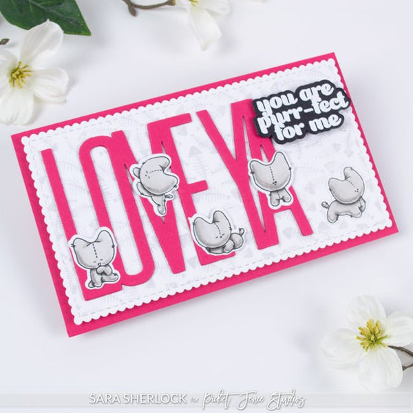 Are You Kitten? - Picket Fence Studios