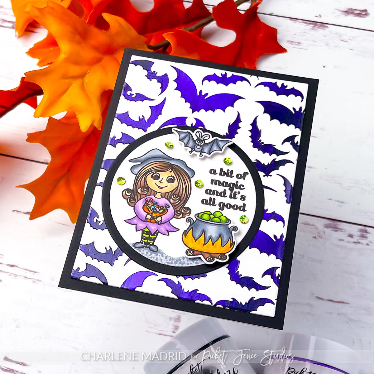 Bat Crazy 6x8 Stencil - Picket Fence Studios