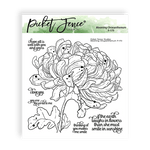 Blooming Chrysanthemum - Picket Fence Studios